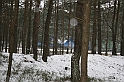 Czerwonym Szlakiem 065